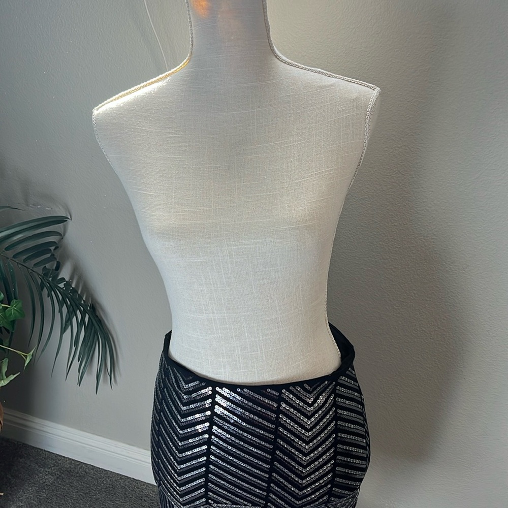 Skirt Express